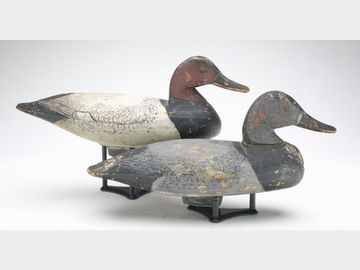 Pair of canvasbacks, Doug Jester, Chincoteague, Virginia.