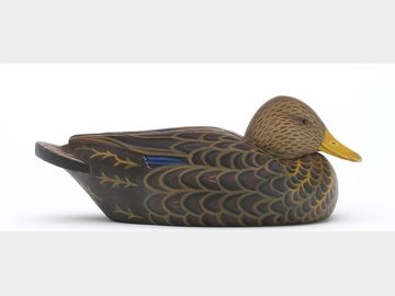 Miniature black duck, Roland Cleveland, Counsel Bluffs, Iowa