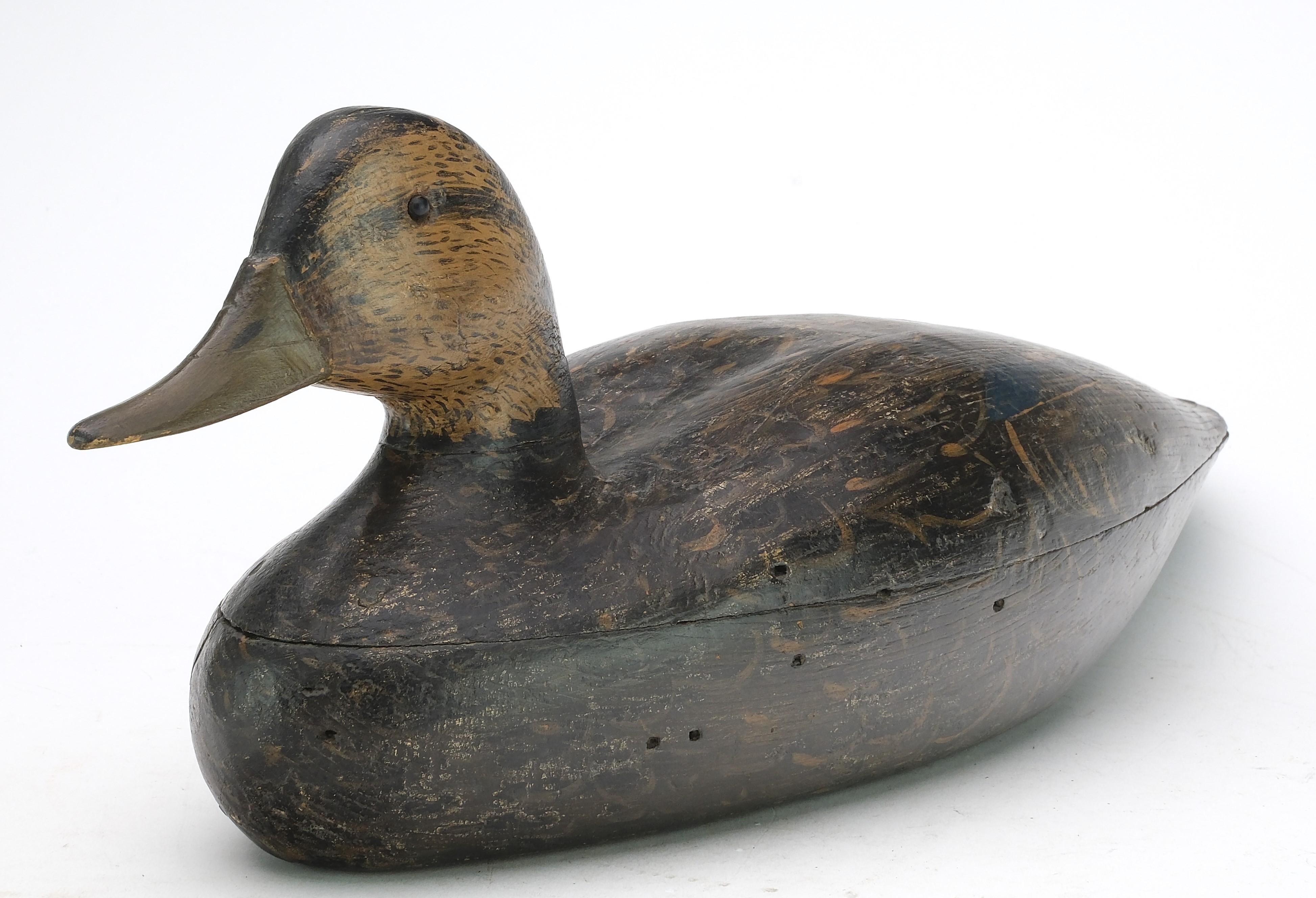 Black duck, Bill Hammell, Absecon, New Jersey | Guyette & Deeter