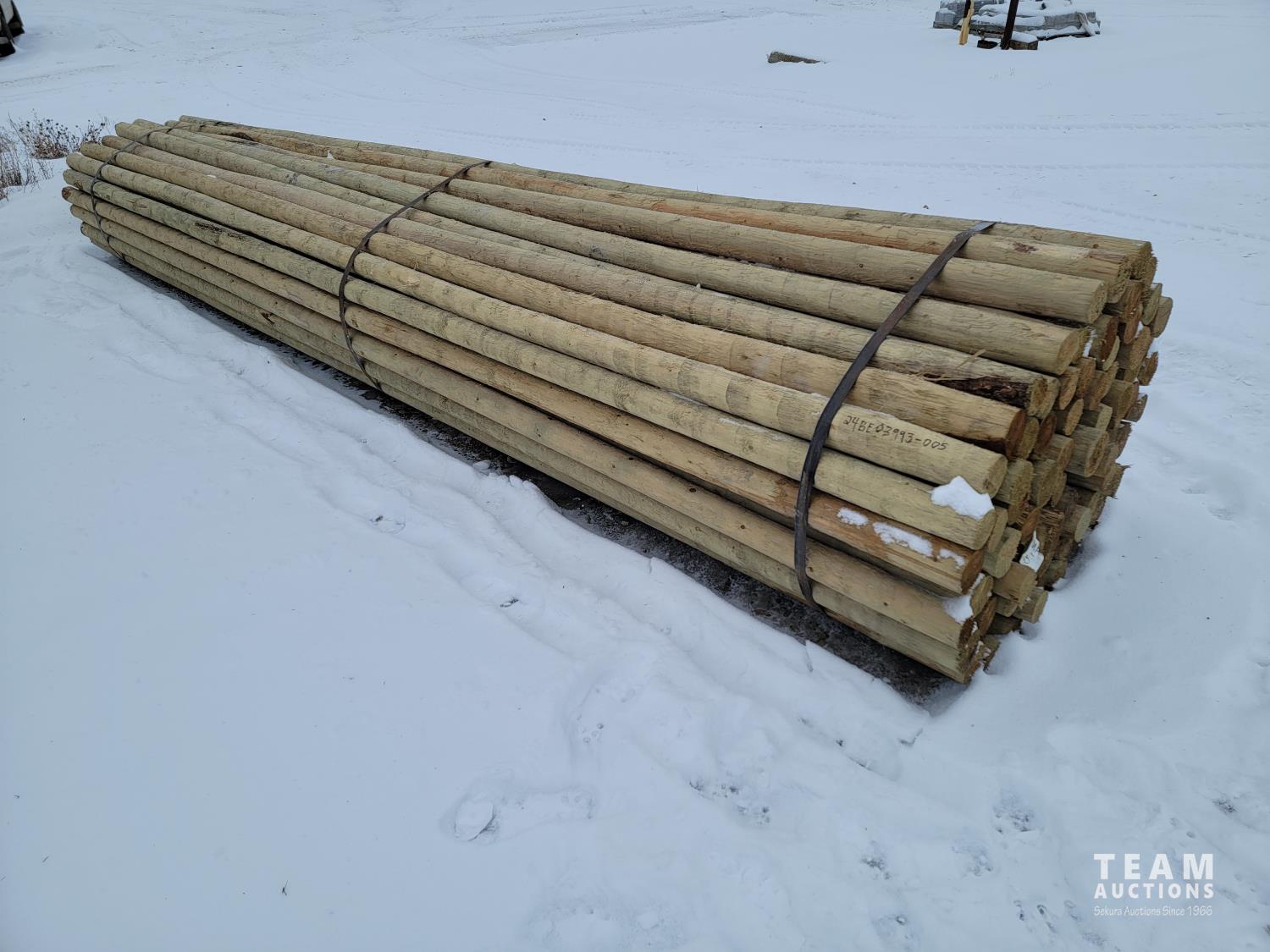 (80) 3-4 Inch 18 Ft Treated Rails (Unused) [24BE03993-005] | Team Auctions