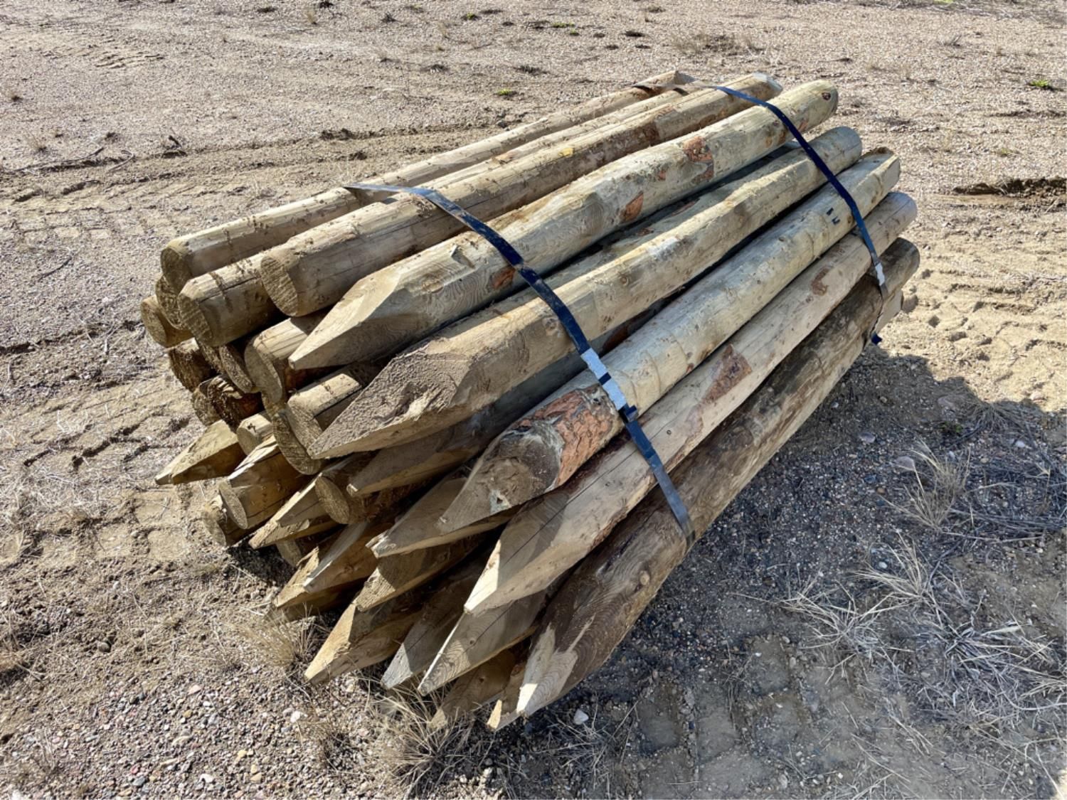 (50) 5-6 Inch X 6 Ft Treated Fence Posts (Unused) [25CD10993-022 ...