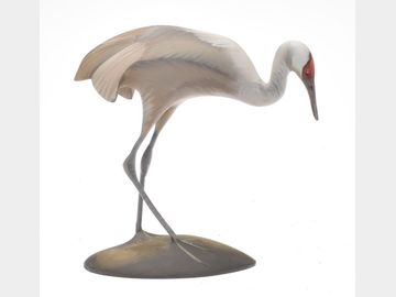 Miniature sandhill crane, Sean Sutton, Paulsboro, New Jersey