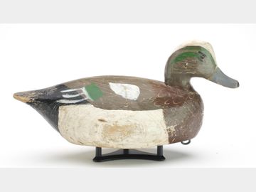 Widgeon, Miles Hancock, Chincoteague, Virginia.
