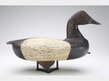 Canvasback, Frank Finney, Cape Charles, Virginia.