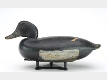 Blue bill, John English, Florence, New Jersey