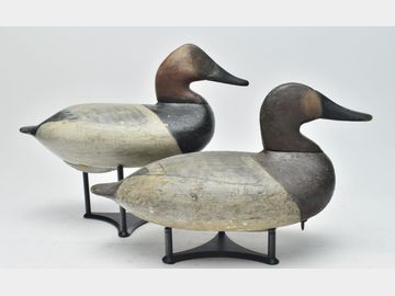 Pair of canvasbacks, William Heverin, Charlestown, Maryland.