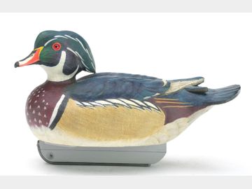 Wood duck drake, Len Carnaghi, Washington Township, Michigan.