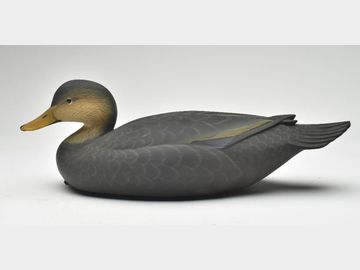 Black Duck, George Strunk, Glendora, New Jersey