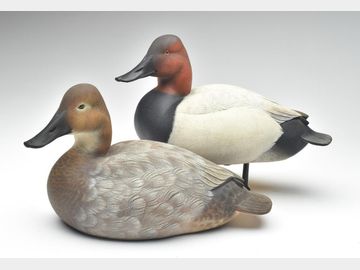 Pair of canvasbacks, Victor Paroyan, St Catharines, Ontario.