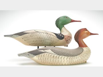 Pair of mergansers, Byron Bruffee, Middleboro, Massachusetts.