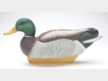 Mallard, Tom Matus, Kuna, Idaho.