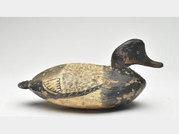 Bluebill, Ira Hudson, Chincoteague, Virginia