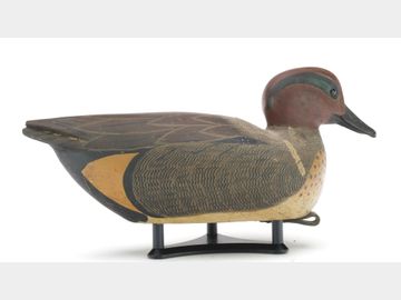 Green wing teal, Grayson Chesser, Jenkins Bridge, Virginia.