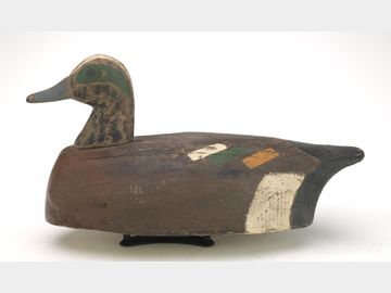 Widgeon, Wilton Walker, Tulls Creek, North Carolina