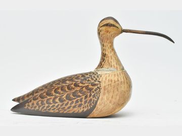 Curlew, William Henry, Bennet, East Long Island