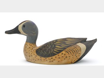 Blue wing teal, Ross Smoker, Selinsgrove, Pennsylvania