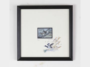 Eleven migratory waterfowl stamps