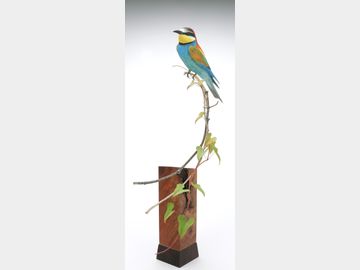 European bee-eater, Gary Eigenberger, Green Bay, Wisconsin.