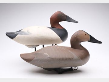 Pair of canvasbacks, Madison Mitchell, Havre de Grace, Maryland