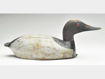 Canvasback drake, Hank Catton, Ridgetown, Ontario, 1st quarter 20th century.