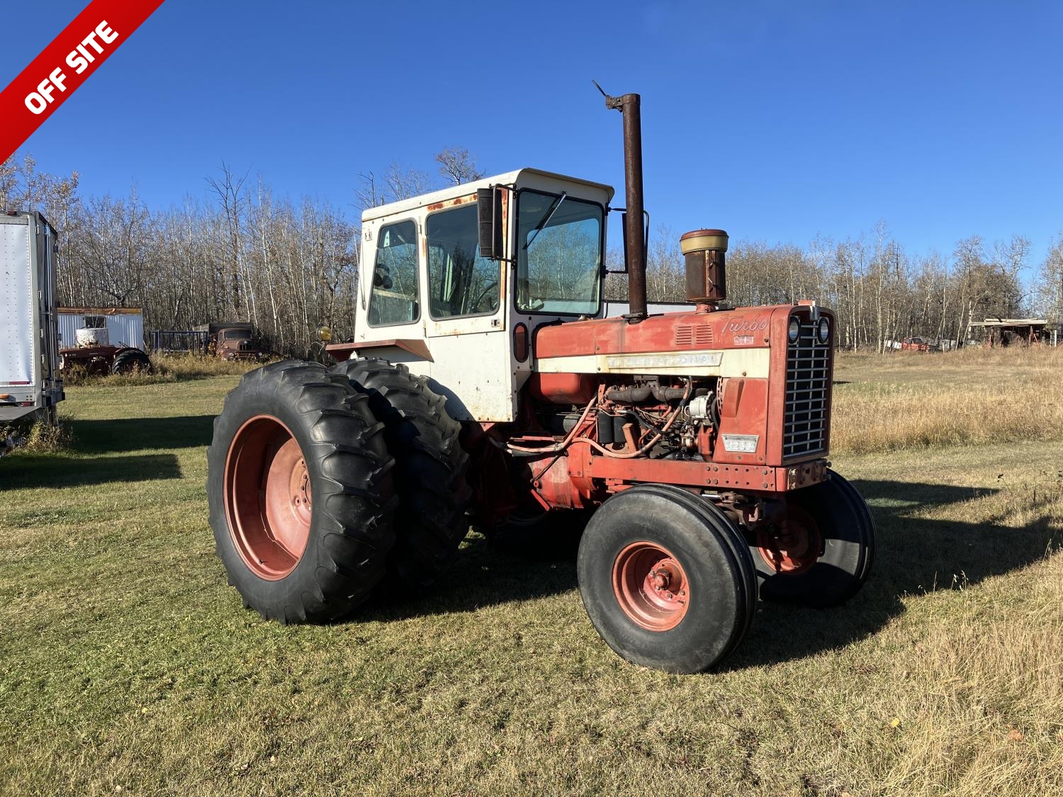 1967 International 1256 2WD Tractor [24JD11005-005] | Team Auctions