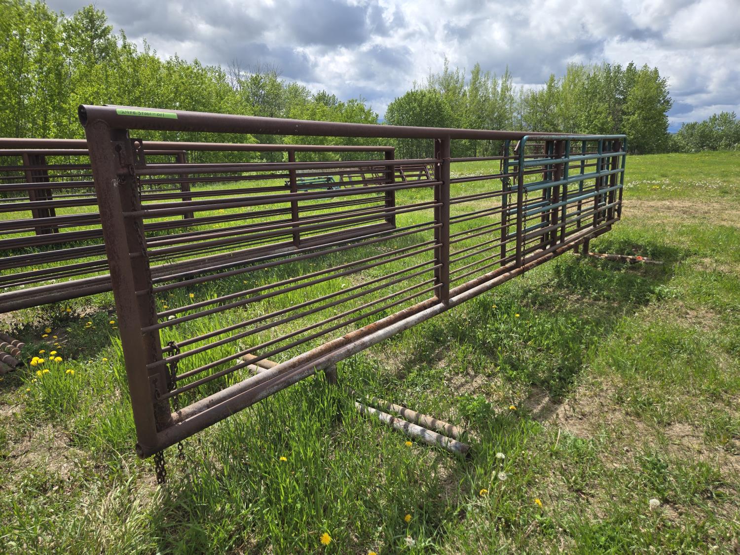 (2) 24 Ft Free Standing Panels with 12 Ft Gates [24FE37001-011] | Team ...