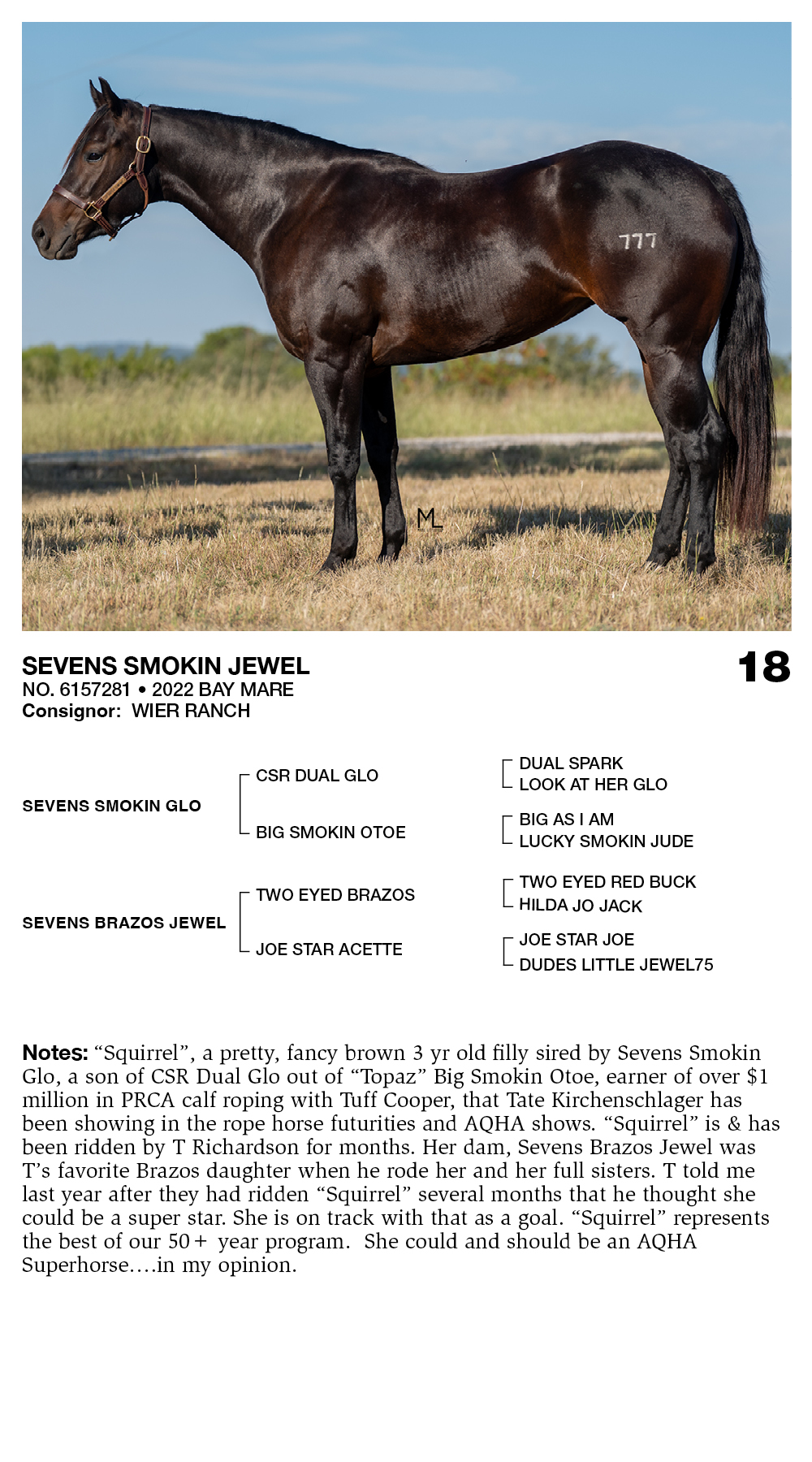 SEVENS SMOKIN JEWEL | Wier Ranch