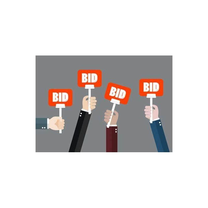 Bidding Options