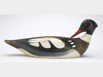 Merganser, Keith Mueller, Killingworth, Connecticut.