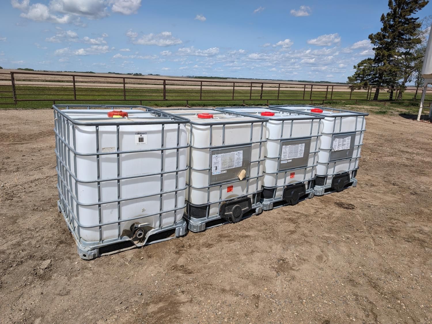 (4) 1000 Litre Poly Totes [24GI03001-525] | Team Auctions