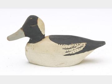 Miniature bufflehead, Miles Hancock, Chincoteague, Virginia.