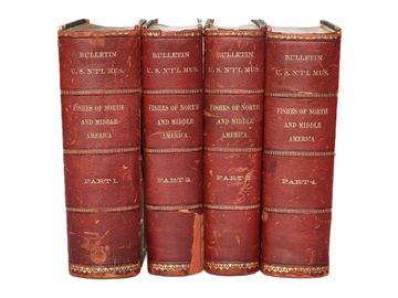 Group of Leather Bound Books, Four Total, Fishes of North and Middle America