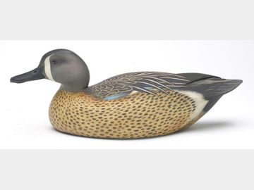 Blue wing teal, Jim Schmiedlin, Bradfordwoods, Pennsylvania.