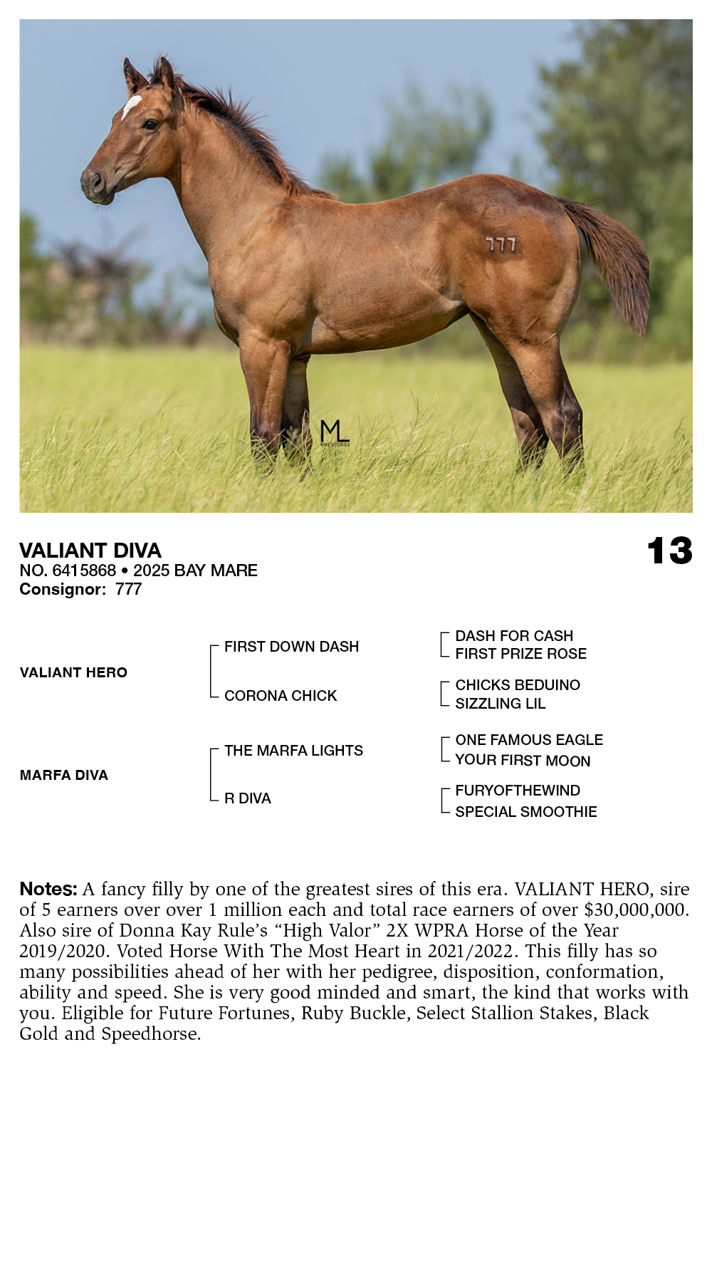 VALIANT DIVA | Wier Ranch