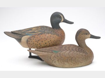 Pair of blue wing teal, Martin Hanson, Prior Lake, Minnesota.