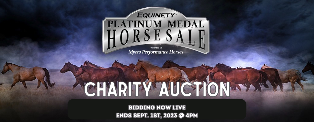charity auction sale