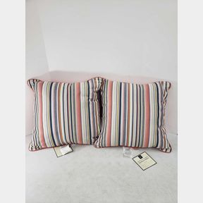 Member's Mark 2-Pack Pillows - Highlight Splendor
