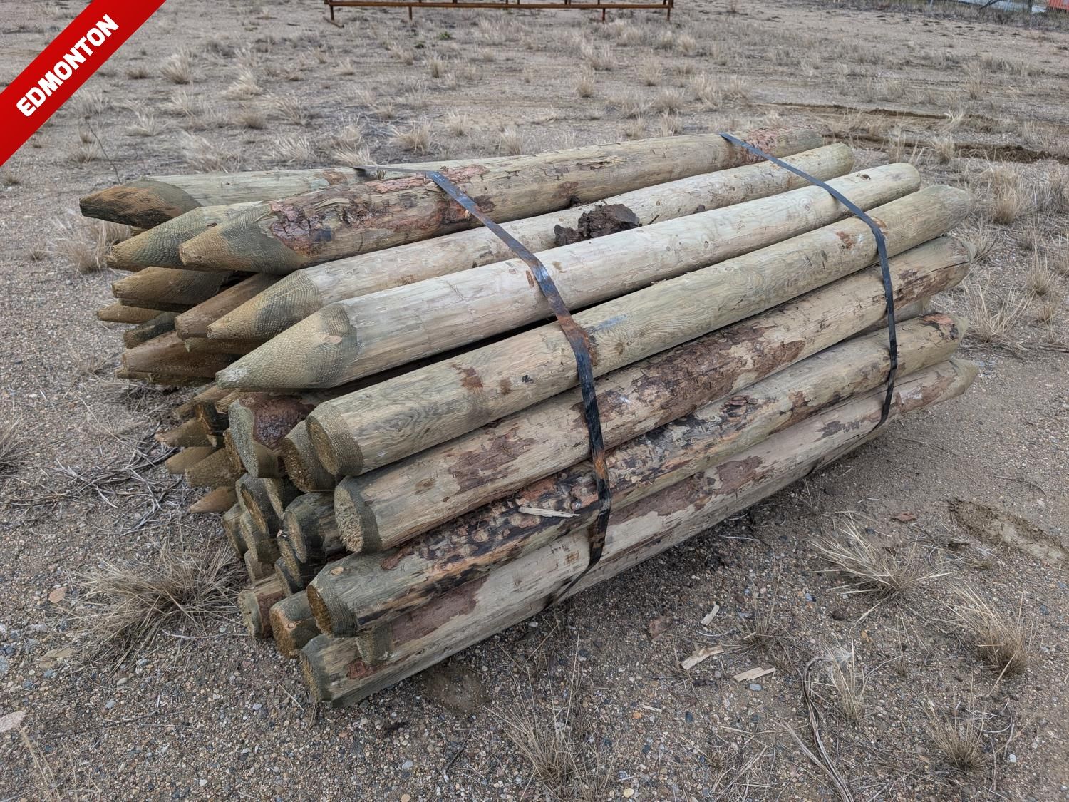 (50) 5-6 Inch X 7 Ft Treated Pointed Posts [25BF10791-018] | Team Auctions