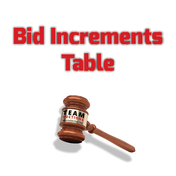 What Is Bid Increment? , Solved: ebays bidding increments – EUIYZ