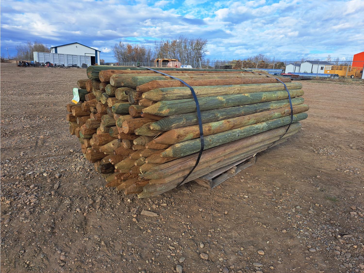 (110) 3-4 Inch X 8 Ft Treated Fence Posts (Unused) [24KA03993-003 ...
