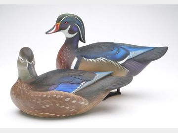 Pair of wood ducks, Sean Sutton, Paulsboro, New Jersey.