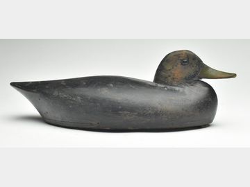 Black duck, John R. Wells, Toronto, Ontario, 1st quarter 20th century.